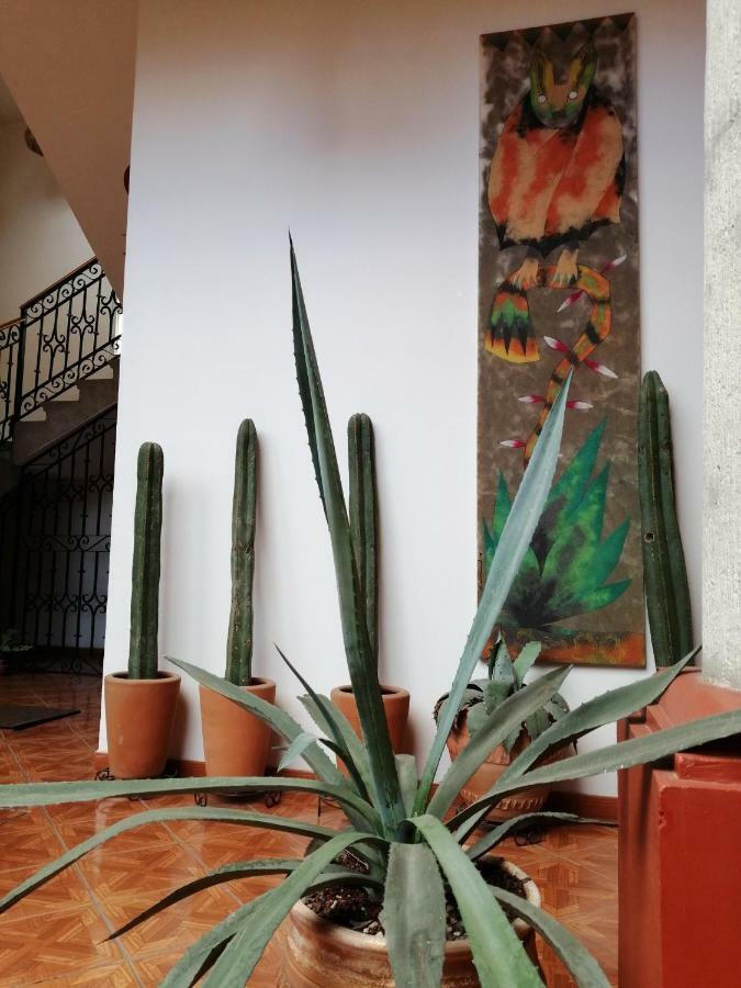 Casa Agave Oaxaca Bagian luar foto